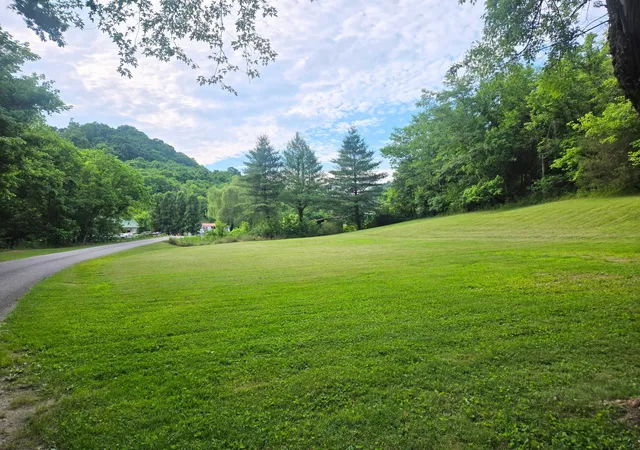 Homes for sale in Pleasant Shade, TN | 0 Dog Branch Road S, Pleasant Shade, TN 37145 | MLS# 3184716
