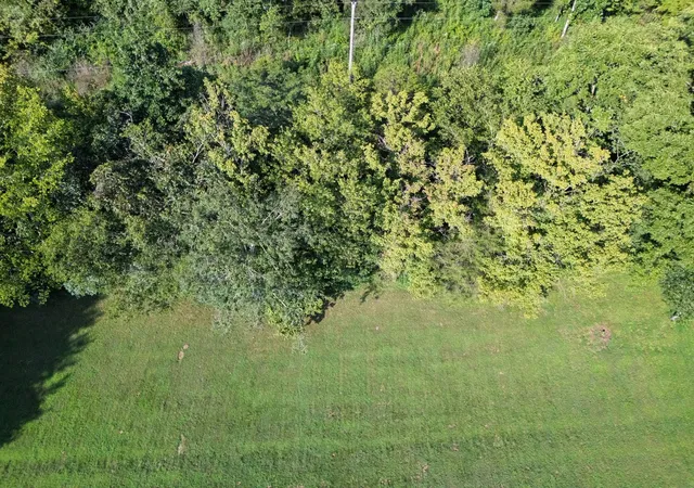 Photo 24 of Land for sale at 0 Dog Branch Rd S, Pleasant Shade, TN 37145 | MLS# 3184716 | Listing updated on 2026-09-01