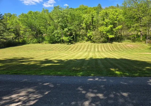 Homes for sale in Pleasant Shade, TN | 0 Dog Branch Road S, Pleasant Shade, TN 37145 | MLS# 3184716
