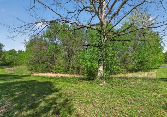 4th image of 0 Coal Bank Road, Sparta, TN 38583 | MLS# 3185076
