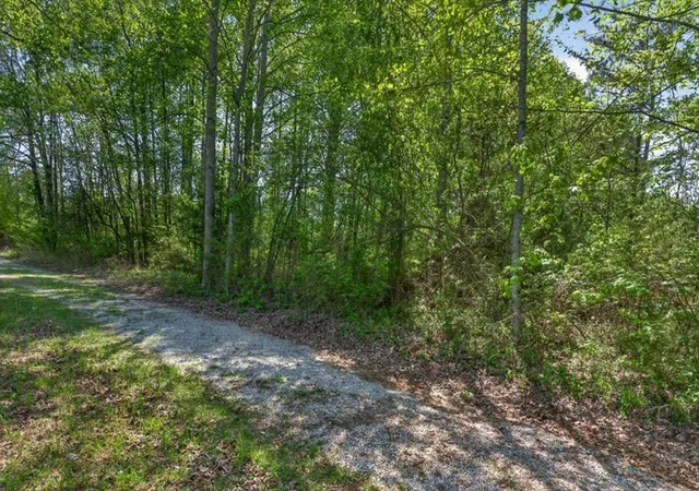 5th image of 0 Coal Bank Road, Sparta, TN 38583 | MLS# 3185076