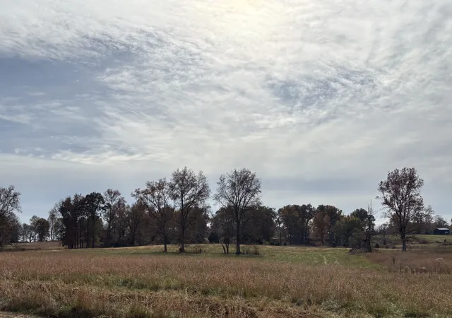 Photo 4 of Land for sale at 0 Halltown Rd, Portland, TN 37148 | MLS# 3205538 | Listing updated on 2026-08-29