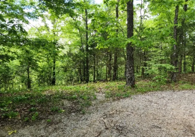 Homes for sale in Celina, TN | 0 Froest Trails, Celina, TN 38551 | MLS# 3184985