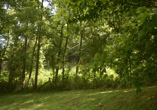 Homes for sale in Pleasant Shade, TN | 86 Dog Branch Rd S, Pleasant Shade, TN 37145 | MLS# 3233509