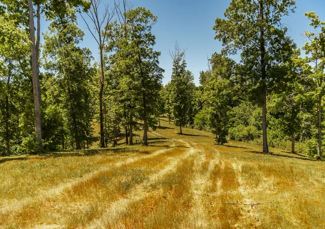 Photo 1 of Land for sale at 8388 Cub Crk Rd, Nashville, TN 37209 | MLS# 3214079 | Listing updated on 2026-08-20