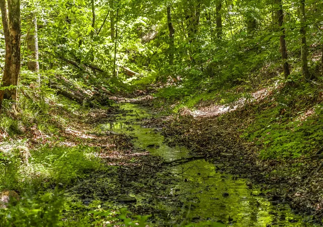 Photo 3 of Land for sale at 8388 Cub Crk Rd, Nashville, TN 37209 | MLS# 3214079 | Listing updated on 2026-08-20