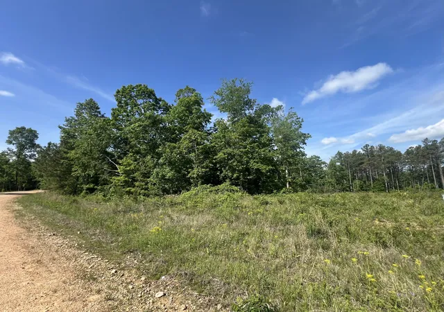 Photo 1 of Land for sale at 28 Pafford Ln, Erin, TN 37061 | MLS# 3189769 | Listing updated on 2026-09-19