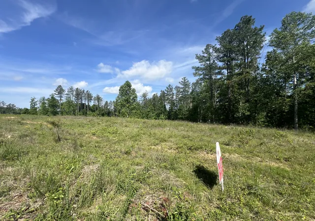 Photo 3 of Land for sale at 28 Pafford Ln, Erin, TN 37061 | MLS# 3189769 | Listing updated on 2026-09-19