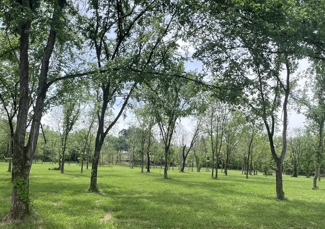2nd image of 5006 Rock Springs Rd, Smyrna, TN 37167 | MLS# 3189552