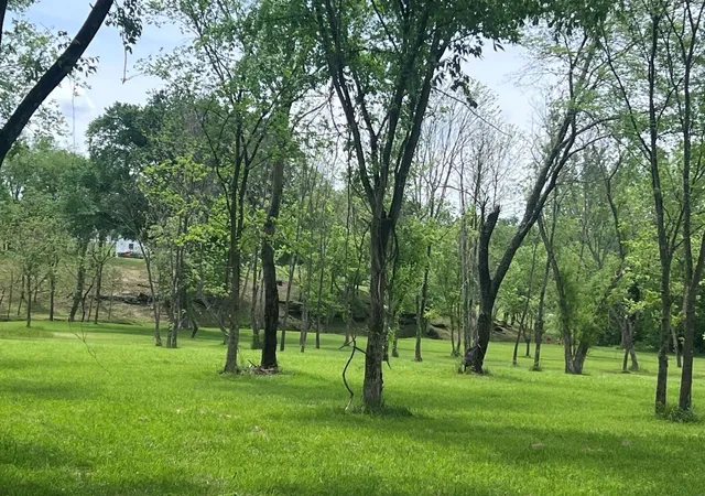 4th image of 5006 Rock Springs Rd, Smyrna, TN 37167 | MLS# 3189552
