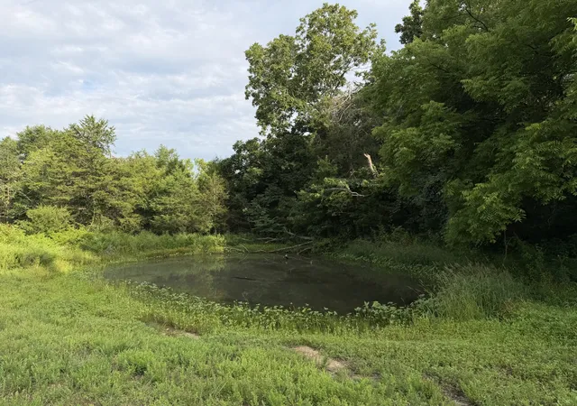3rd image of 2370 Patton Hollow Rd, Watertown, TN 37184 | MLS# 3185635