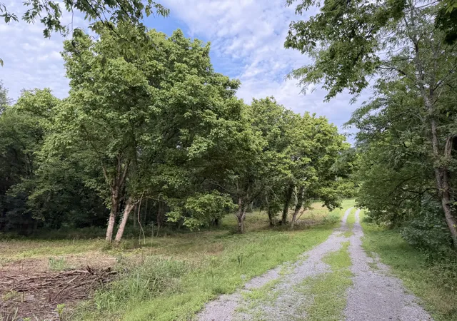 66th image of 2370 Patton Hollow Rd, Watertown, TN 37184 | MLS# 3185635