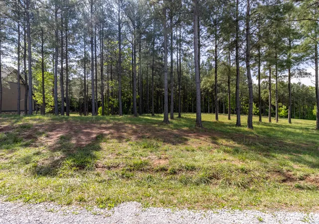 Homes for sale in Jasper, TN | 1600 Raulston Falls Road, Jasper, TN 37347 | MLS# 3262607