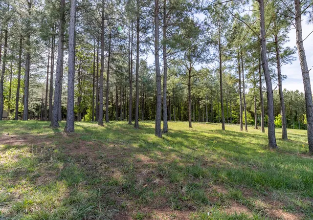 Homes for sale in Jasper, TN | 1600 Raulston Falls Road, Jasper, TN 37347 | MLS# 3262607