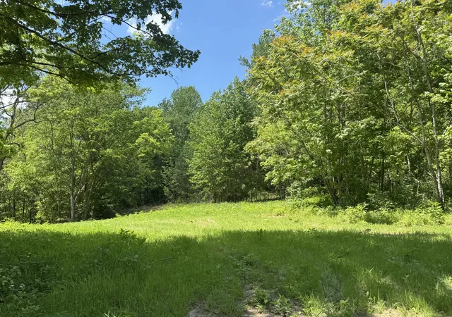 Homes for sale in Indian Mound, TN | 0 Cub Creek Rd, Indian Mound, TN 37079 | MLS# 3197247
