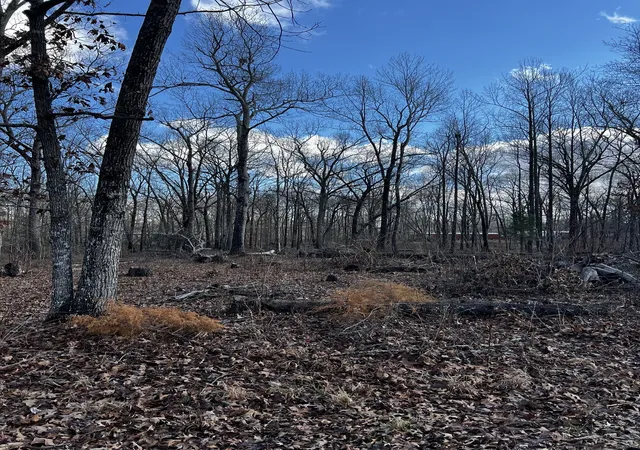 Photo 3 of Land for sale at 0 Oak Dr, Beechgrove, TN 37018 | MLS# 3186236 | Listing updated on 2026-05-01