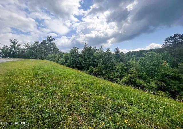 Homes for sale in Russellville, TN | 6213 Outlook Tr, Russellville, TN 37860 | MLS# 3186003
