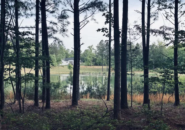 4th image of 255 Waterwheel Way, Jasper, TN 37347 | MLS# 3186467