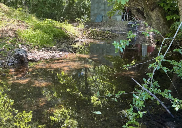 Photo 3 of Sale Pending at 51 Sycamore Landing Rd, Waverly, TN 37185 | MLS# 3216611 | Listing updated on 2026-09-16