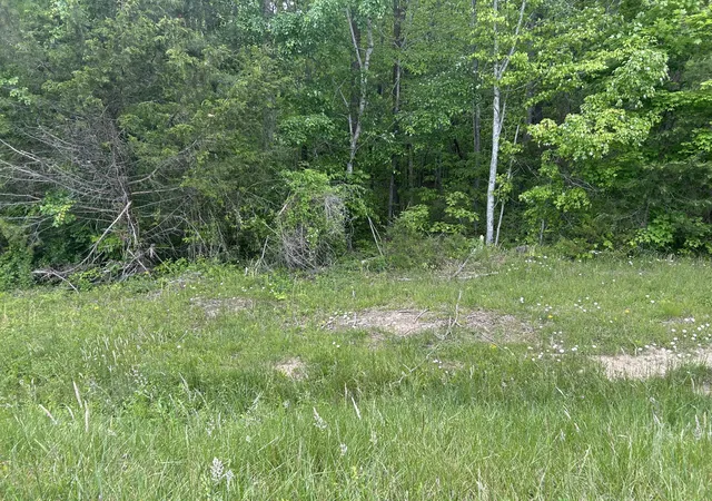 Homes for sale in Spencer, TN | 0 Rt Davis Rd, Spencer, TN 38585 | MLS# 3190000