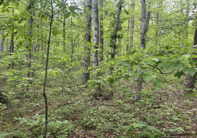 Homes for sale in Spencer, TN | 0 Rt Davis Rd, Spencer, TN 38585 | MLS# 3190000