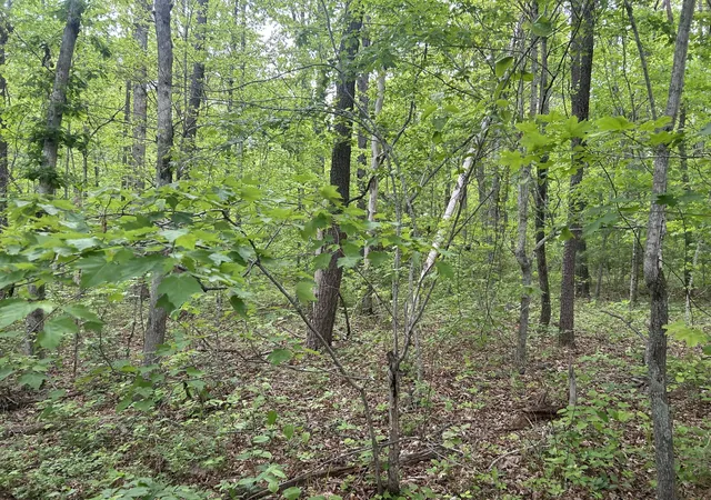 Homes for sale in Spencer, TN | 0 Rt Davis Rd, Spencer, TN 38585 | MLS# 3190000