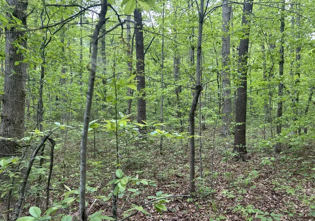 Homes for sale in Spencer, TN | 0 Rt Davis Rd, Spencer, TN 38585 | MLS# 3190000