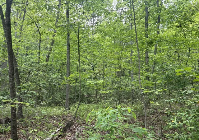 Homes for sale in Spencer, TN | 0 Rt Davis Rd, Spencer, TN 38585 | MLS# 3190000