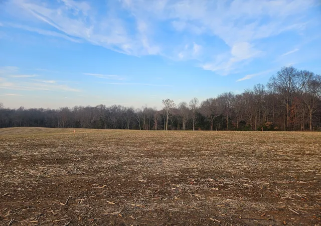 Homes for sale in Greenbrier, TN | 0 Lights Chapel Rd, Greenbrier, TN 37073 | MLS# 3187055