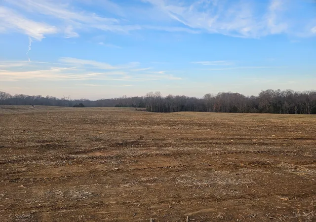 Homes for sale in Greenbrier, TN | 0 Lights Chapel Rd, Greenbrier, TN 37073 | MLS# 3187055