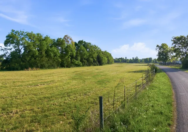 Photo 2 of Land for sale at 0 Cedar Grv Rd, Chapel Hill, TN 37034 | MLS# 3189498 | Listing updated on 2026-10-06
