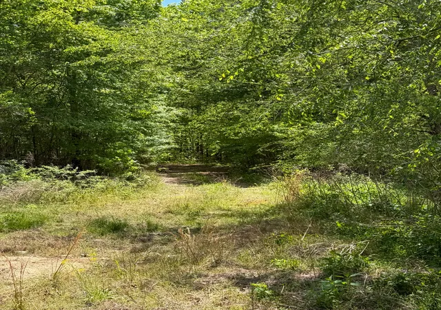 3rd image of 255 Biltmore Rd, Mansfield, GA 30055 | MLS# 3189424