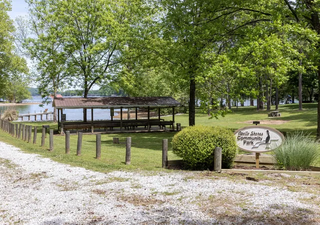 24th image of 144 Caron Dr, Spring City, TN 37381 | MLS# 3311436