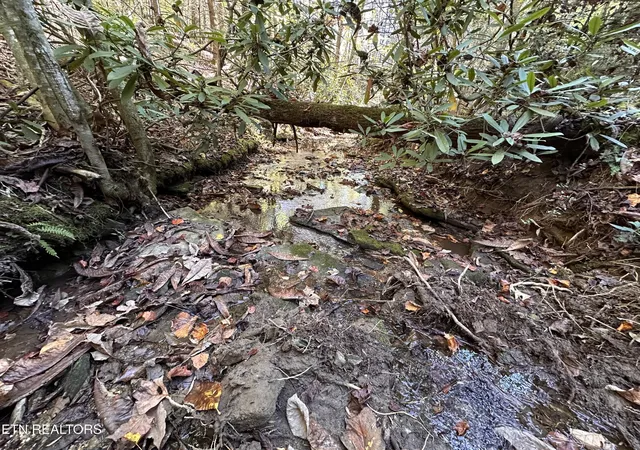 3rd image of 186 Cave Branch Rd, Allardt, TN 38504 | MLS# 3189470