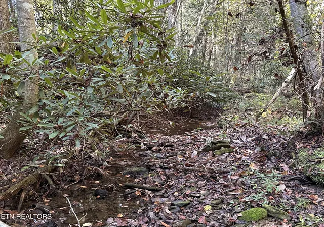 5th image of 186 Cave Branch Rd, Allardt, TN 38504 | MLS# 3189470