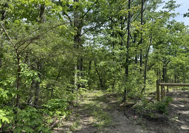 Homes for sale in Crossville, TN | 1 Cool Breeze Boulevard, Crossville, TN 38572 | MLS# 3189479