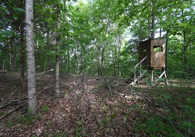 1st image of 0 Lower Crooked Creek Rd, Lobelville, TN 37097 | MLS# 3191213