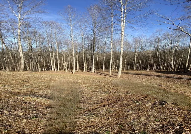 5th image of 4428 Memory Ln, Adams, TN 37010 | MLS# 3190016