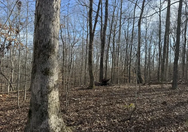 Photo 2 of Land for sale at 0 Riverwatch Tr, Sparta, TN 38583 | MLS# 3189709 | Listing updated on 2026-05-04