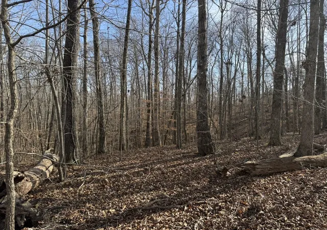 Photo 2 of Land for sale at 0 Riverwatch Tr, Sparta, TN 38583 | MLS# 3189709 | Listing updated on 2026-05-04