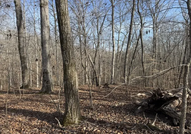 Photo 3 of Land for sale at 0 Riverwatch Tr, Sparta, TN 38583 | MLS# 3189709 | Listing updated on 2026-05-04