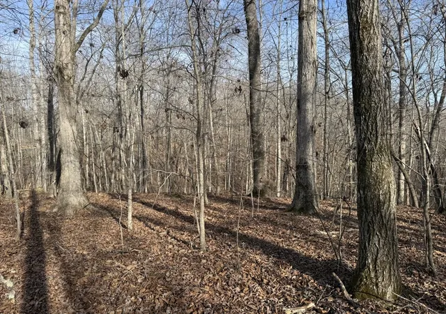Photo 4 of Land for sale at 0 Riverwatch Tr, Sparta, TN 38583 | MLS# 3189709 | Listing updated on 2026-05-04