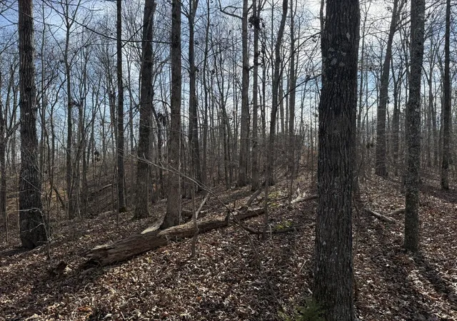 Photo 7 of Land for sale at 0 Riverwatch Tr, Sparta, TN 38583 | MLS# 3189709 | Listing updated on 2026-05-04