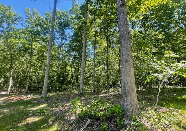 Homes for sale in Waverly, TN | 700 Hillcrest Rd, Waverly, TN 37185 | MLS# 3190017