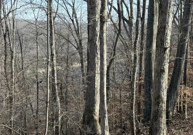 Photo 2 of Land for sale at 0 Mountain Harbor Dr, Sparta, TN 38583 | MLS# 3189721 | Listing updated on 2026-05-05