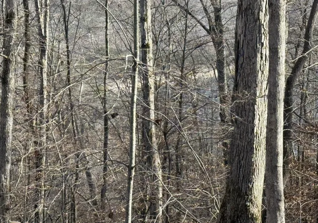 Photo 2 of Land for sale at 0 Mountain Harbor Dr, Sparta, TN 38583 | MLS# 3189721 | Listing updated on 2026-05-05