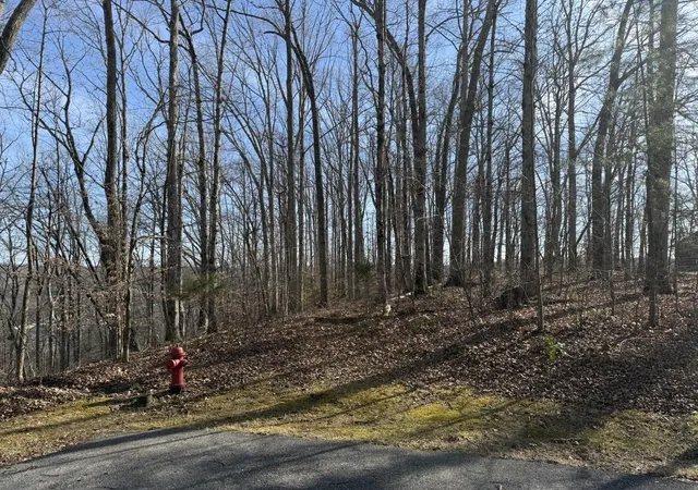 Photo 3 of Land for sale at 0 Mountain Harbor Dr, Sparta, TN 38583 | MLS# 3189721 | Listing updated on 2026-05-05