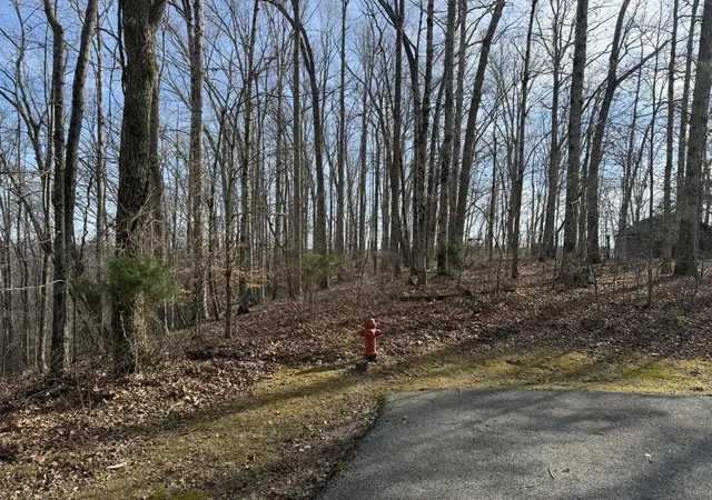 Photo 4 of Land for sale at 0 Mountain Harbor Dr, Sparta, TN 38583 | MLS# 3189721 | Listing updated on 2026-05-05