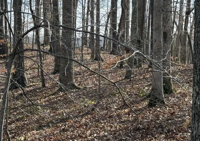 Photo 10 of Land for sale at 0 Mountain Harbor Dr, Sparta, TN 38583 | MLS# 3189721 | Listing updated on 2026-05-05