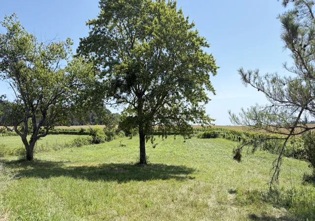 Photo 3 of Land for sale at 5901 Payne Rd, Portland, TN 37148 | MLS# 3189945 | Listing updated on 2026-09-21